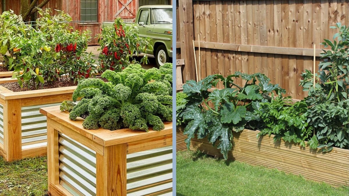 How to Build a Raised Bed for Vegetables