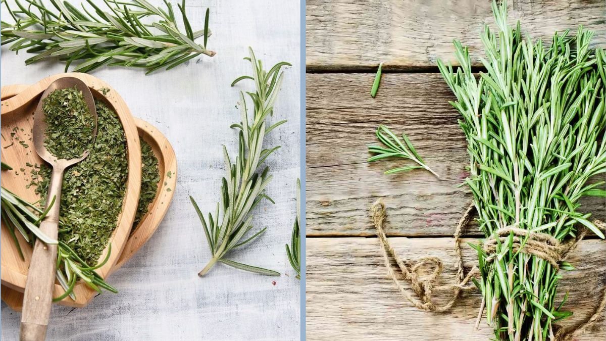How to Use Rosemary in Cooking and Medicine