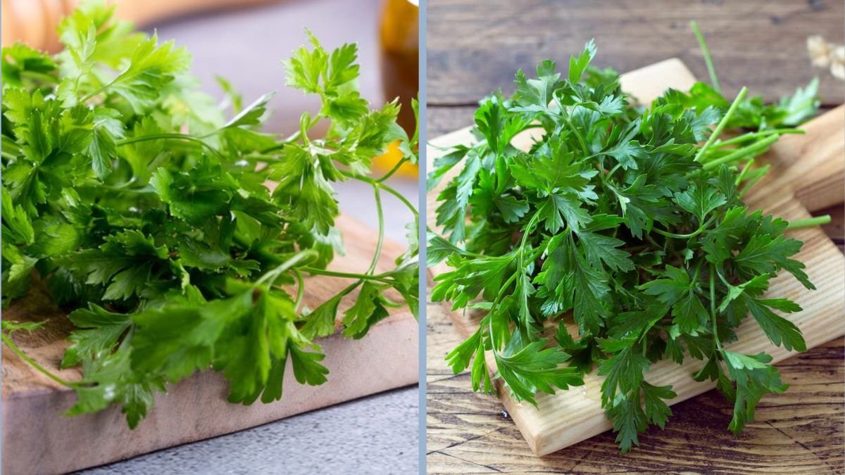 How to Cook With Fresh Parsley and Cilantro