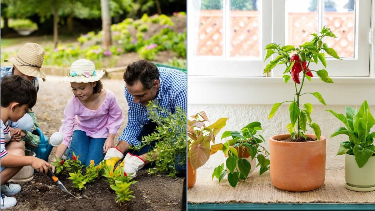 Indoor Gardening Tips for Busy Families