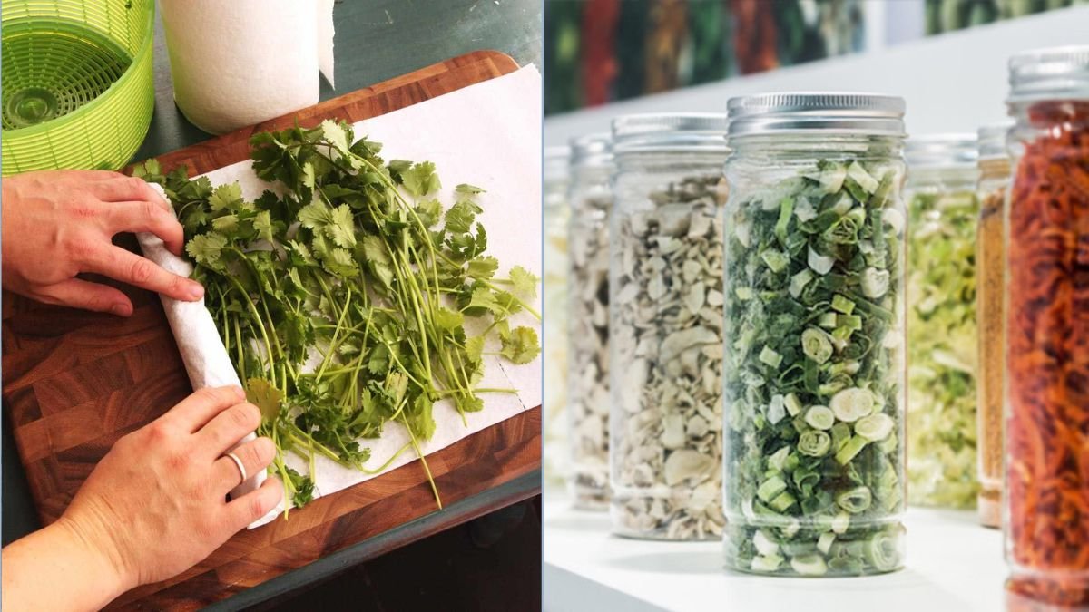 Freezing Herbs for Long-Term Use