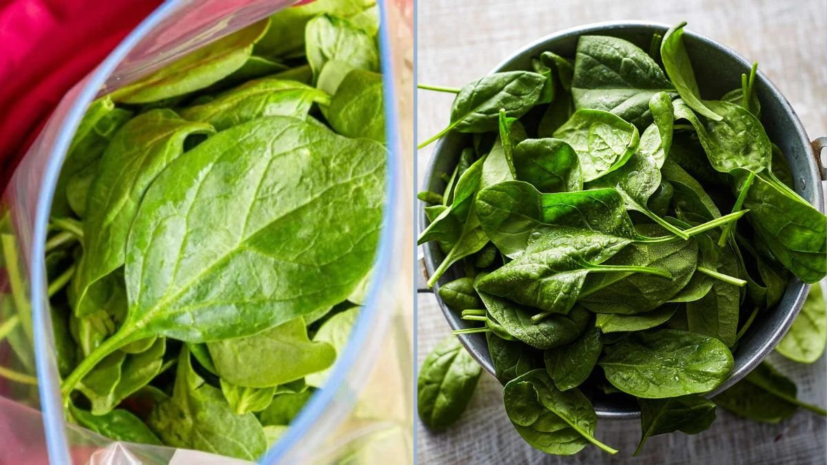Easy Techniques to Freeze Spinach Properly