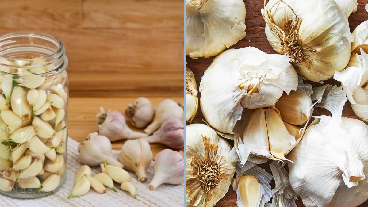 How to Store Garlic to Keep It Fresh
