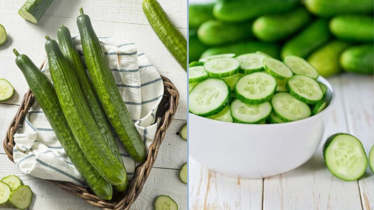 Extending Cucumber Freshness in the Fridge