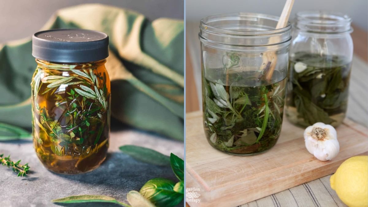 Homemade Herb Vinegars for Cooking