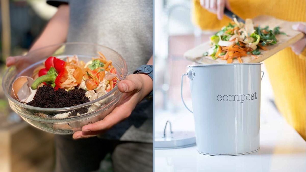 Reusing Kitchen Vegetable Waste Creatively