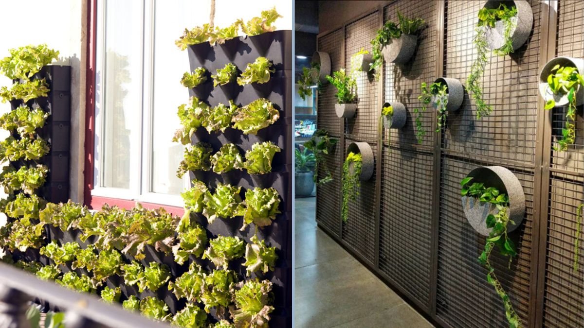 Vertical Garden Hacks for Small Kitchens