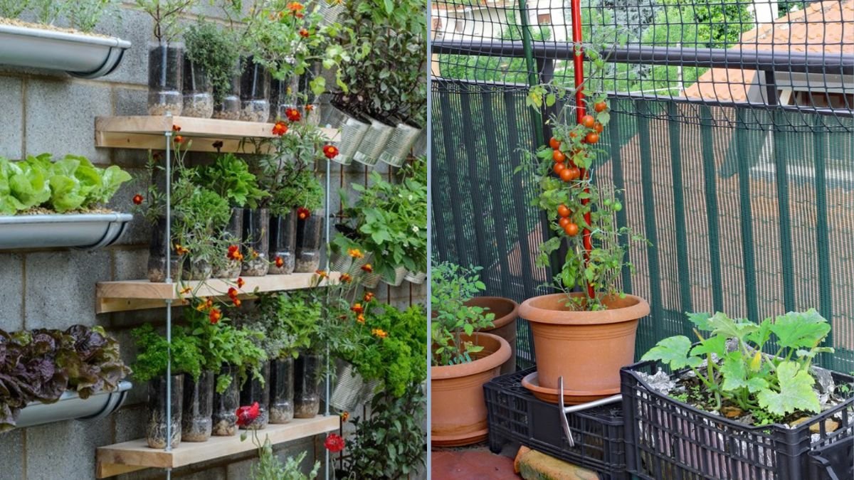 Balcony Planters for Vegetables
