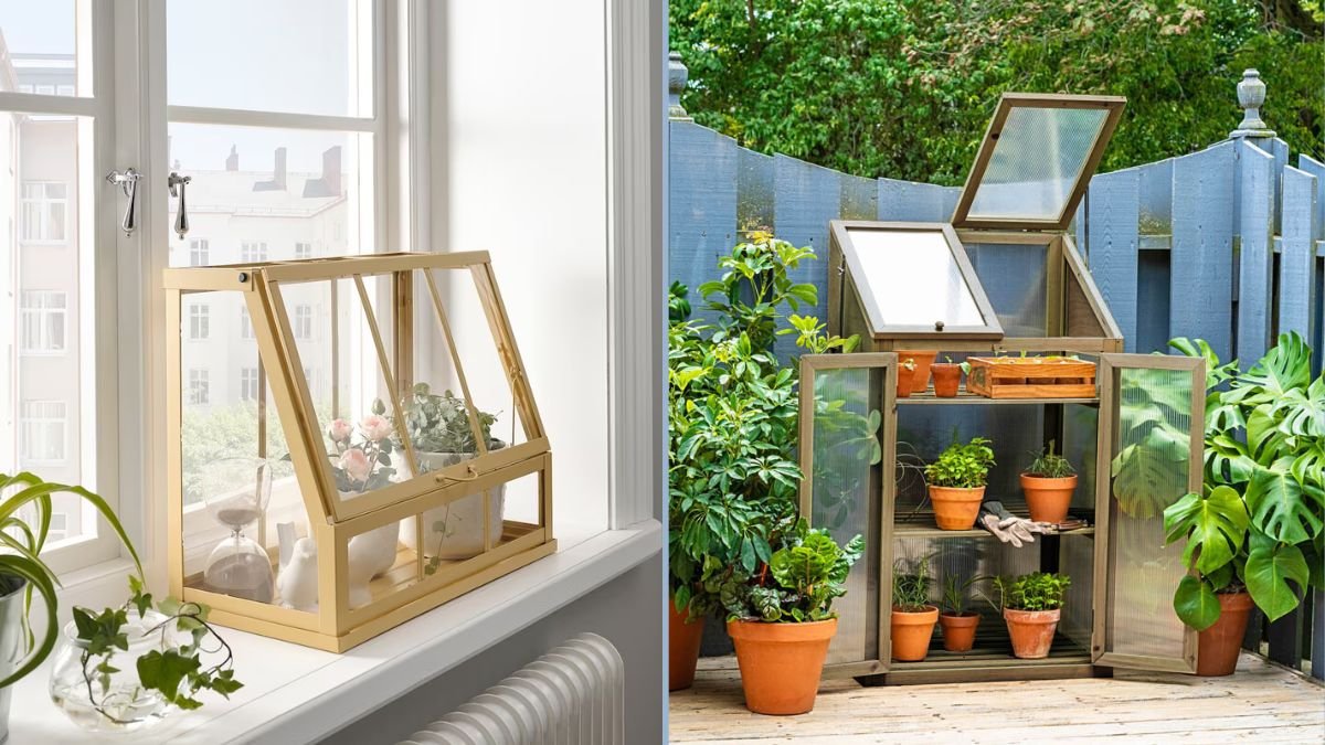 DIY Mini Greenhouse for Windowsill Plants