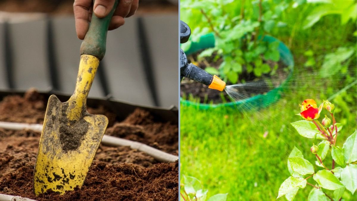 Managing Soil Pests Without Chemicals