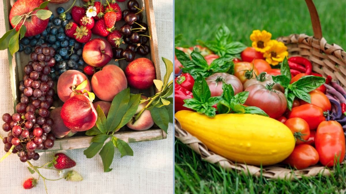 Best Fruits to Plant in Summer Heat