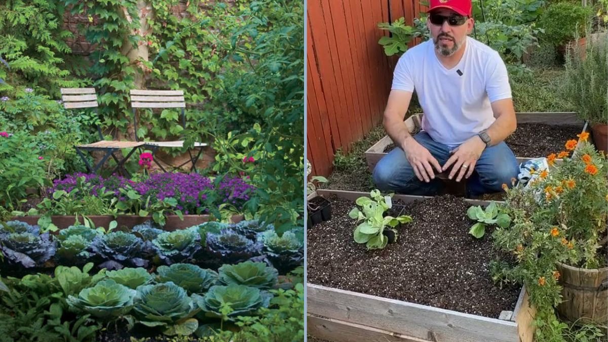 Fall Crops Perfect for Kitchen Gardens