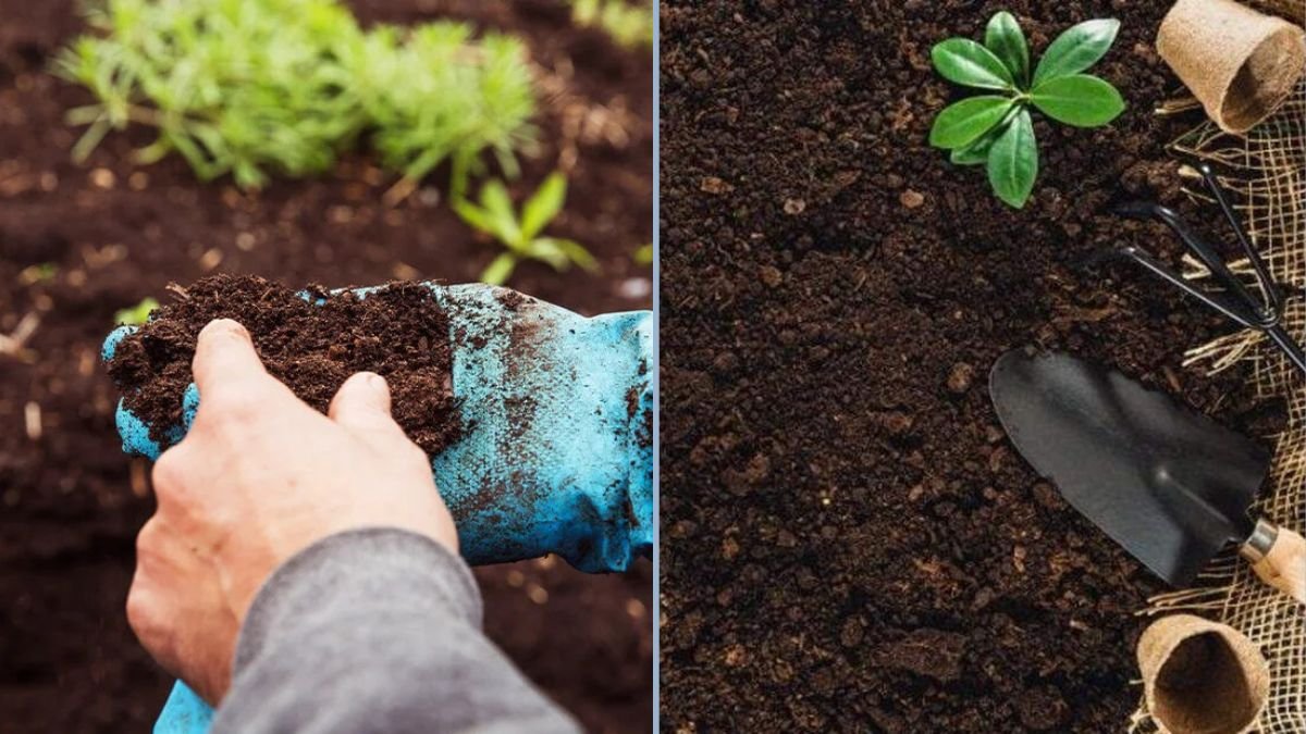 How to Prepare Soil for Spring Planting