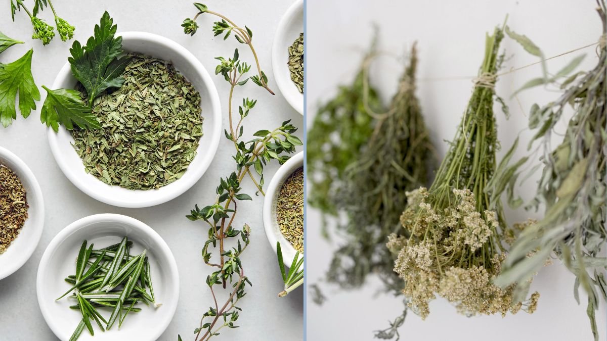 Drying Herbs for Long-Term Storage
