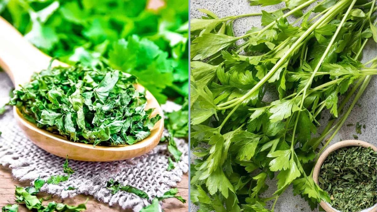 Cooking With Fresh Parsley and Cilantro