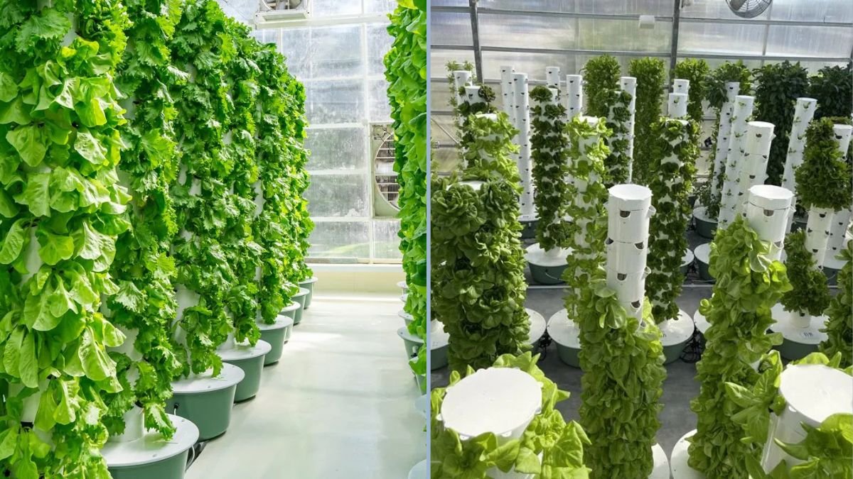 Tower farming has become a popular strategy among gamers who want to accelerate their progress and gather resources efficiently. Whether you’re playing a strategy game, an RPG, or a tower defense title, understanding the concept of tower farming can give you a significant edge. In this guide, we’ll break down everything you need to know about tower farming, from the basics to advanced techniques, helping you get the most out of your gameplay. What Is Tower Farming? Tower farming is a gameplay strategy where players repeatedly use towers—or tower-like structures—to generate resources, experience points, or other in-game rewards. The concept is similar to farming in traditional games, where you “farm” specific items or materials, but tower farming focuses on optimizing structures or stages to achieve maximum efficiency. In most games, towers serve dual purposes: they provide defense against enemies and act as resource generators. By strategically farming these towers, players can strengthen their in-game economy, level up characters faster, and unlock powerful upgrades more quickly. Why Tower Farming Matters Many players overlook tower farming, focusing solely on battles or quests. However, mastering tower farming can dramatically shorten your grind. Here’s why it’s so effective: Resource Efficiency: Instead of randomly attacking enemies or completing missions, tower farming lets you maximize the rewards from a single location or stage. Time-Saving: Repeating certain tower challenges or setups can yield consistent rewards without requiring hours of exploration. Progression Boost: By gathering experience, gold, or other key items efficiently, you can level up your characters and unlock new towers faster than other players. Strategic Depth: Tower farming encourages players to think critically about placement, upgrades, and synergy between towers. Simply put, it’s about working smarter, not harder. Getting Started with Tower Farming Before diving into tower farming, you need a solid foundation. Here are the steps to get started: 1. Understand Your Game’s Mechanics Each game has unique mechanics that influence tower farming. For example, in some games, certain towers may yield more resources based on their placement or level. Others may reward players for defeating waves of enemies quickly. Spend time exploring your game’s tutorial or guide to identify which towers are optimal for farming. 2. Identify High-Yield Towers Not all towers are created equal. Some may produce more resources per wave, while others offer better defensive capabilities. Look for towers that give consistent rewards and focus your efforts on upgrading these first. 3. Optimize Tower Placement In many games, tower placement is critical. Position towers to maximize their efficiency—this might mean covering multiple enemy paths or placing high-damage towers near choke points. A well-placed tower can drastically increase your farming efficiency. 4. Upgrade Strategically Upgrading towers is essential for maximizing your returns. Focus on upgrades that enhance resource generation or attack efficiency rather than purely aesthetic improvements. Prioritize upgrades that provide long-term benefits for farming. Effective Tower Farming Strategies Once you’ve set up your towers, it’s time to implement strategies that make farming most efficient. Here are several methods used by top players: 1. Wave Manipulation Many games allow you to control or predict enemy waves. By understanding wave patterns, you can position towers to maximize damage and resource collection. Some players even delay waves or use special abilities to farm more effectively. 2. Resource Cycling Some towers generate resources over time or based on enemy interactions. Cycle your towers by switching active and inactive modes or rotating them between stages to optimize output. 3. Use of Synergies Combining towers that complement each other can multiply your rewards. For example, a slowing tower paired with a high-damage tower can ensure enemies are defeated faster, increasing your farming efficiency. 4. Auto-Farming Techniques Many games feature automation options that let towers attack or generate resources automatically. Setting up an auto-farming routine can allow you to gather resources while you focus on other tasks or even when you’re offline. Common Mistakes to Avoid Even experienced players make mistakes when tower farming. Avoid these pitfalls to make your farming efforts more effective: Neglecting Tower Placement: Randomly placing towers without a plan can reduce efficiency drastically. Over-Upgrading Low-Yield Towers: Focus on towers that provide significant rewards rather than spending resources on every tower. Ignoring Enemy Types: Some towers work better against certain enemy types. Tailor your setup to match the enemies in the stage you are farming. Over-Reliance on Auto-Farming: Automation is helpful, but sometimes manual adjustments can significantly boost efficiency. Don’t ignore opportunities to fine-tune your strategy. Advanced Tips for Tower Farming Masters Once you’ve mastered the basics, it’s time to take your tower farming to the next level. These advanced tips can make a huge difference: 1. Analyze Data Track which towers yield the highest returns over time. Many games provide statistics on damage dealt, resources collected, and enemies defeated. Use this data to refine your strategy. 2. Rotate Towers Across Stages Instead of focusing on a single stage, rotate your towers across different maps to exploit high-yield opportunities. Some stages may offer rare items or bonus rewards. 3. Experiment With Combinations Don’t stick to one tower combination. Test different tower types, placements, and upgrade orders to discover the most efficient setups. 4. Take Advantage of Events Many games offer limited-time events that increase resource output or give bonus rewards. Align your tower farming with these events to maximize gains. 5. Join Communities Online communities often share optimized tower setups and farming strategies. Learning from other players can save you time and improve your efficiency. Tower Farming Beyond the Basics While tower farming is often about grinding resources, it also enhances your strategic thinking. You learn to anticipate enemy movements, plan tower placement for maximum impact, and manage resources efficiently. These skills are not only valuable in-game but also improve problem-solving and planning skills in real-life scenarios. Moreover, tower farming often provides a sense of accomplishment. Watching your towers generate consistent rewards and seeing your characters or resources grow is immensely satisfying. It turns repetitive gameplay into a rewarding, strategic exercise. Conclusion Tower farming is more than just a repetitive grind—it’s a strategic approach that can significantly accelerate your progress in games. By understanding the mechanics, optimizing placement, upgrading wisely, and employing advanced strategies, you can turn tower farming into a powerful tool in your gaming arsenal. Whether you’re a casual gamer or a competitive player, mastering tower farming will not only make your gameplay more efficient but also more rewarding. Remember, it’s all about working smarter, not harder. Set up your towers, refine your strategy, and watch your game progress soar. Call to Action: If you want to dominate your favorite game with tower farming, start experimenting with tower placements today. Track your progress, optimize your strategies, and share your results with fellow gamers. Happy farming!